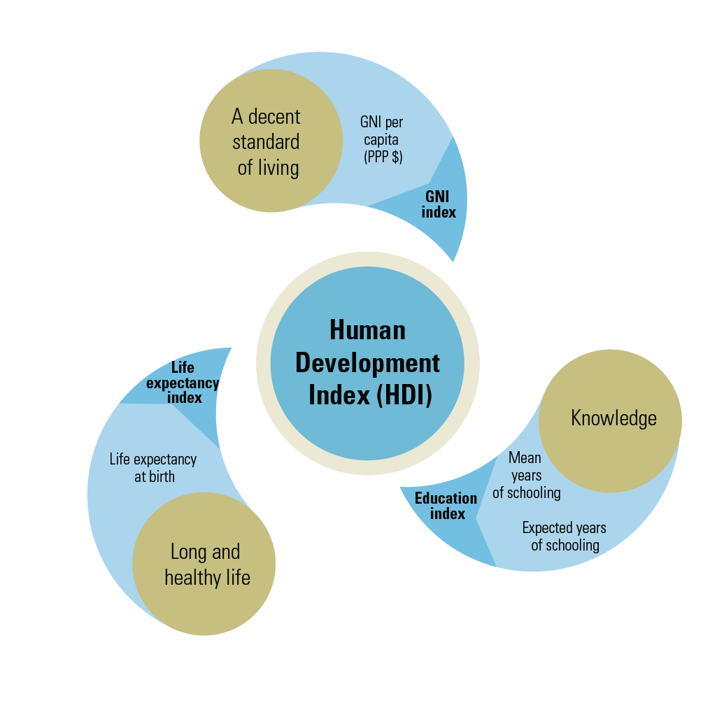 Human Development Index HDI Public Health Notes