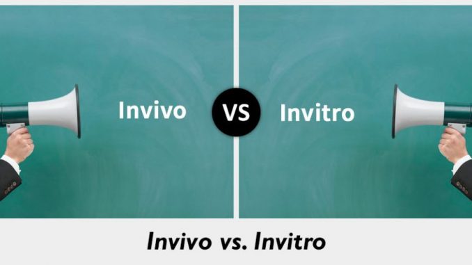 In Vivo vs. In Vitro: What Are the Differences?