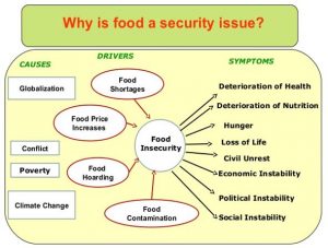 significance of food security