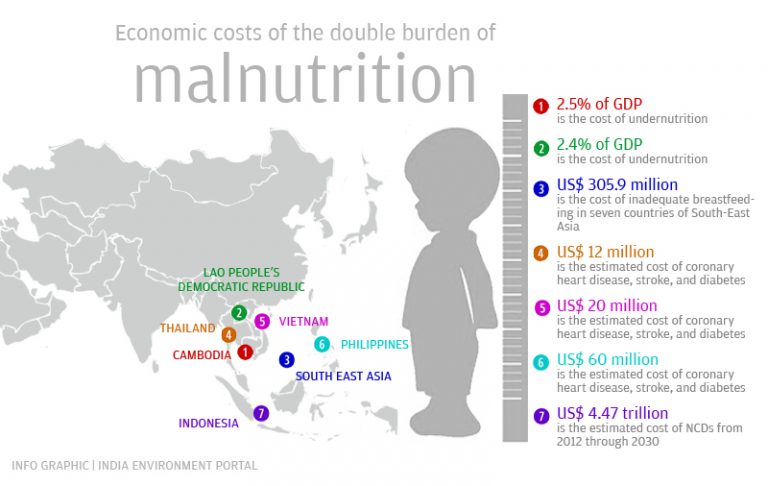 Double Burden Of Malnutrition Challenges And Global Approaches For Its Reduction Public 9680
