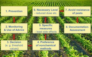 Integrated Pest Management (IPM): Principles, Advantages and ...