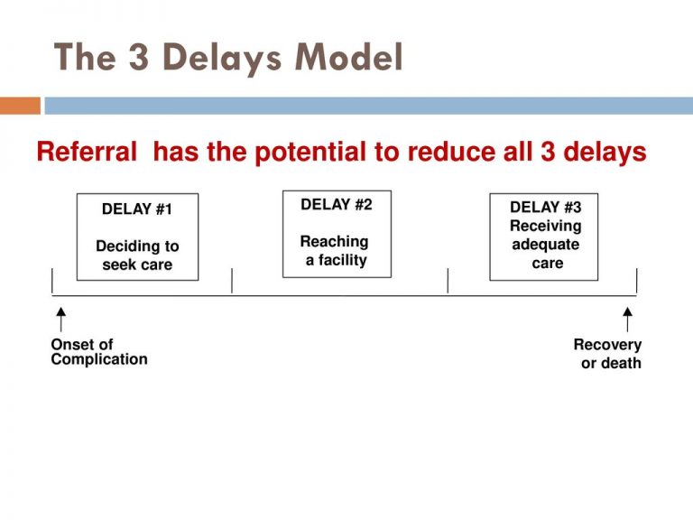 Consequences Of Three Delays Archives - Public Health Notes