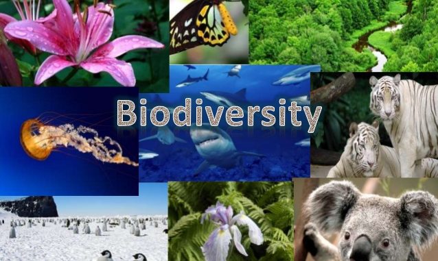 biodiversity images