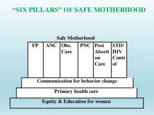 Principles Of Safe Motherhood Archives - Public Health Notes