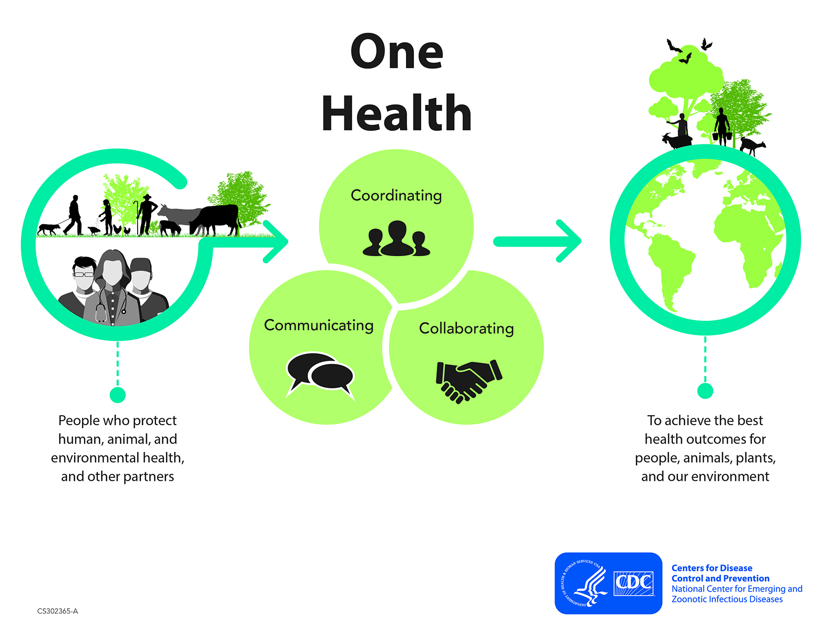 what is the role of health education in disease prevention