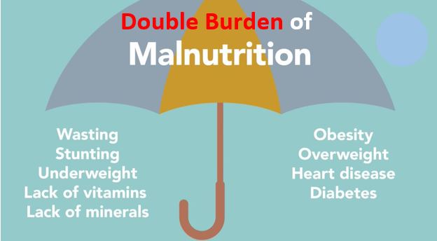 Double Burden Of Malnutrition Present In Every 1 In 3 Low And Middle Income Countries Public Health Notes