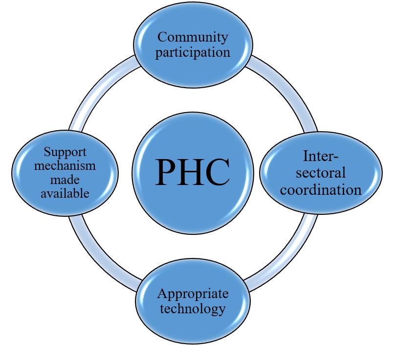 Primary Health Care PHC History Principles Pillars Elements 