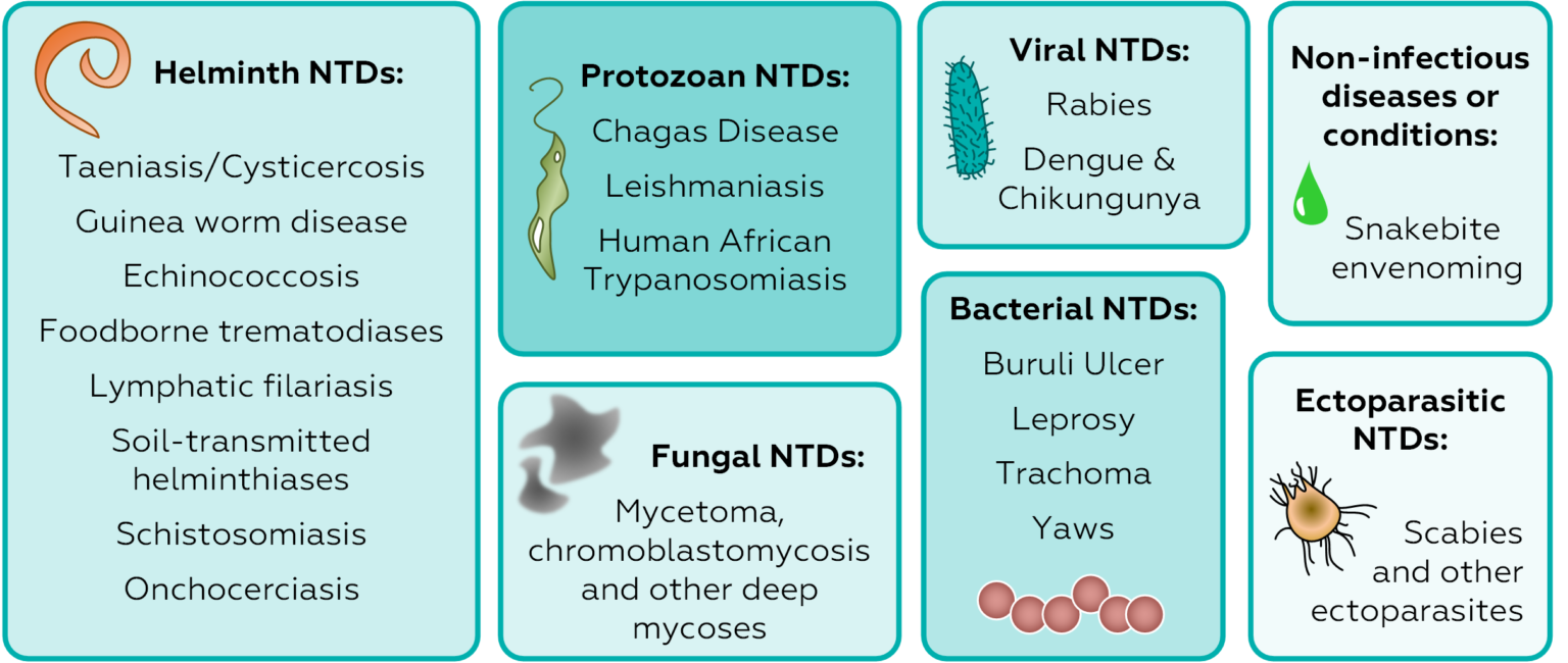 Neglected Tropical Diseases (NTDs): Characteristics, List Of NTDs ...