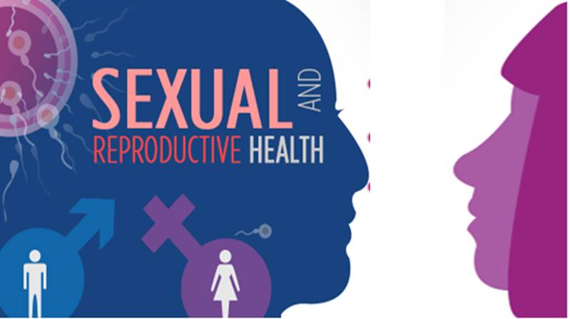 Sexual and Reproductive Health SRH SRHR Public Health Notes