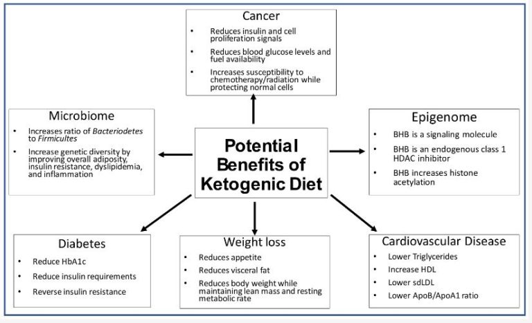 ketogenic diet thesis statement