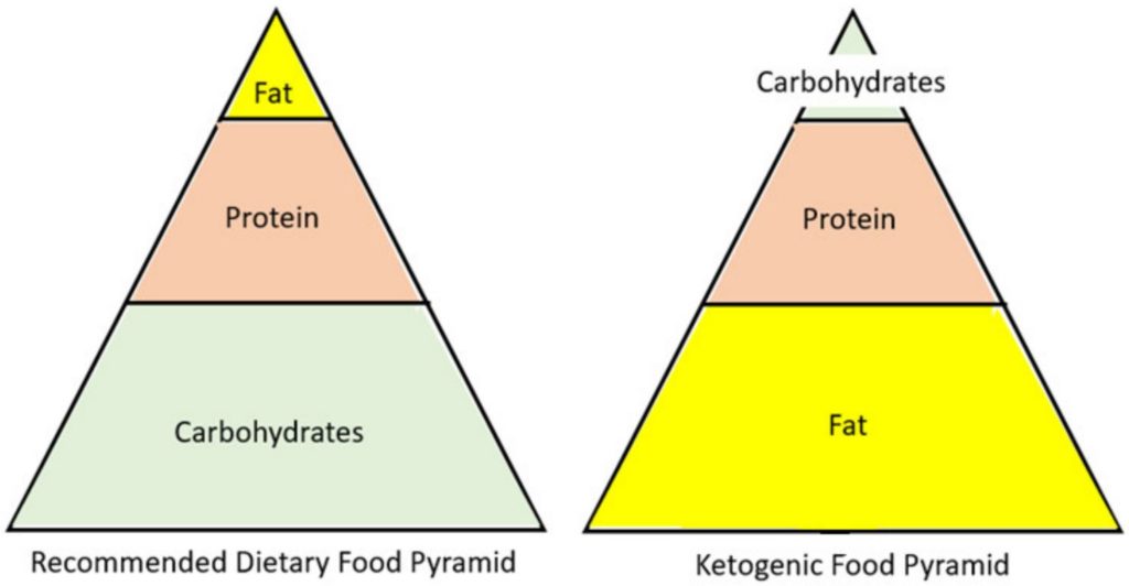 Keto Diet What Is Ketogenic Diet Public Health Notes