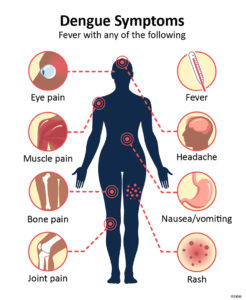 Symptoms of dengue