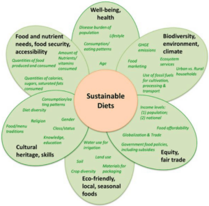 components of sustainable diet