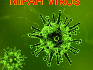 Nipah Virus