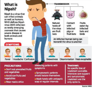 Nipah virus