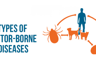vector-borne diseases