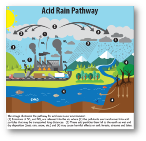 acid rain