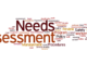 Needs Assessment