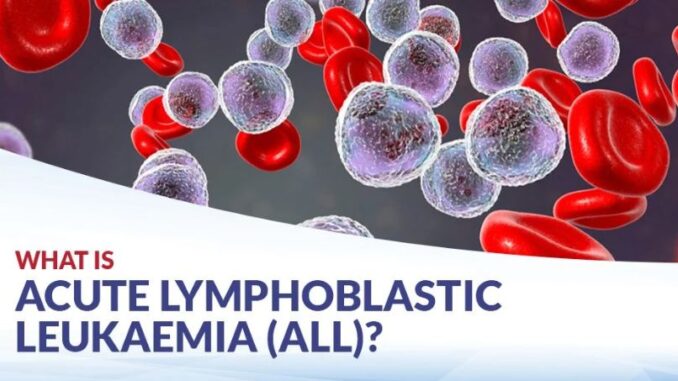 Acute Lymphoblastic Leukemia (ALL)