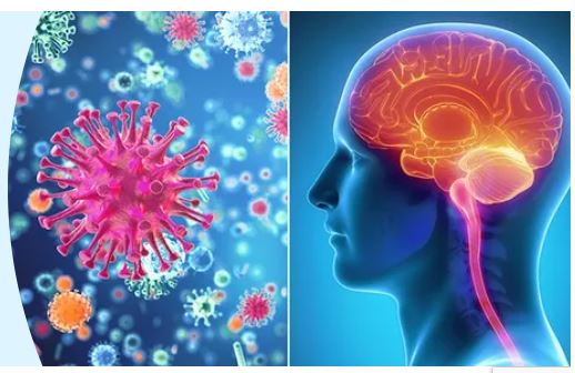 Meningococcal meningitis