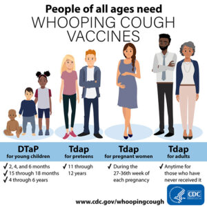 Pertussis vaccination