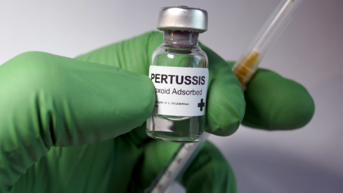 Pertussis