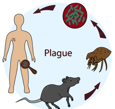 Plague